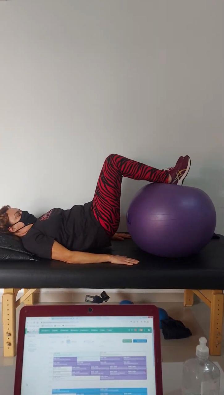 Sess&atilde;o de fisioterapia com bola terap&ecirc;utica